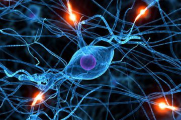 Alzheimer: Científicos descubren nuevo tratamiento con neuronas fabricadas