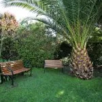 Villa Soleares - Residencia La Dehesa 6