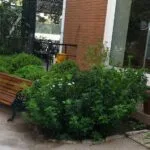 Villa Soleares - Residencia Ñuñoa 18